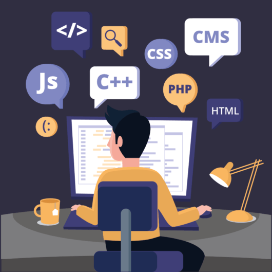 Full Stack Developer