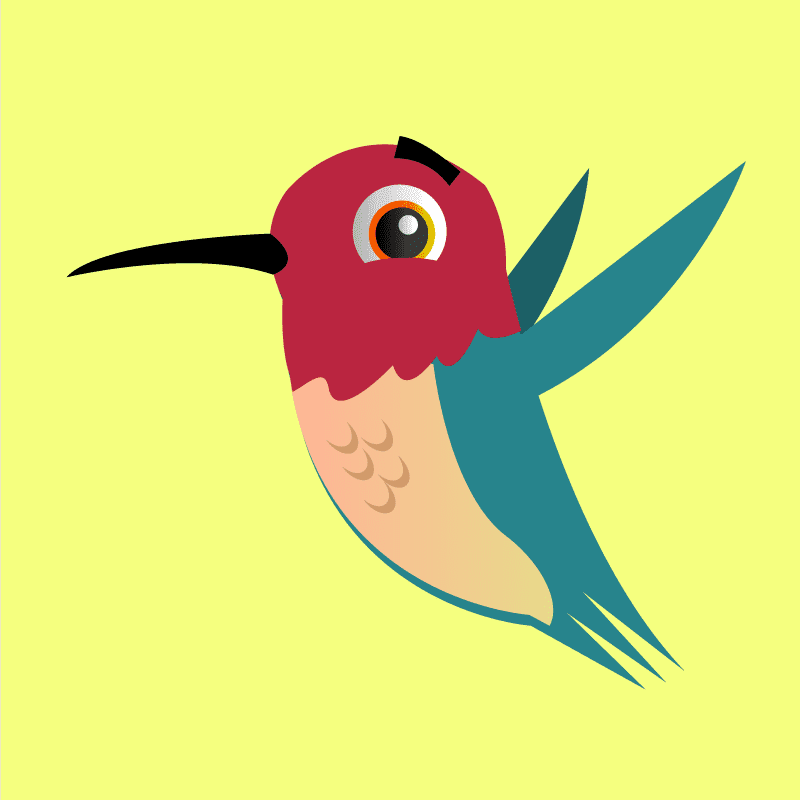 Hummingbird Google Hummingbird SEO Update