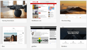 WordPress Wordpress Themes